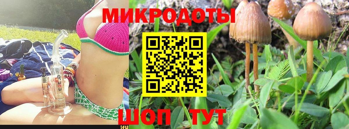 Чайковский  Галлюциногенные грибы MAGIC MUSHROOMS  Псилоцибиновые грибы Psilocybe  Вход с VPN 