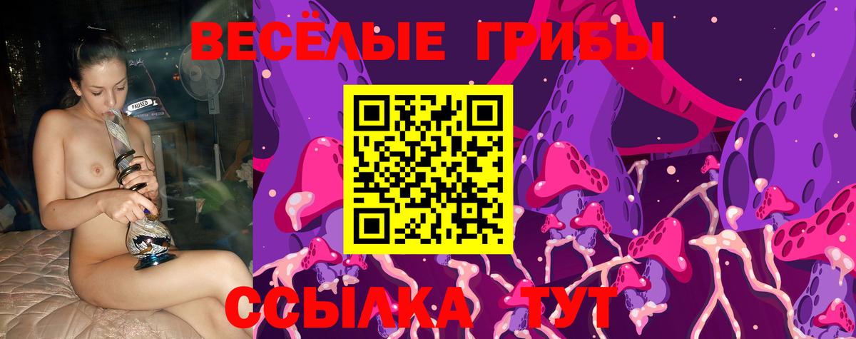 Галлюциногенные грибы Psilocybe Чайковский